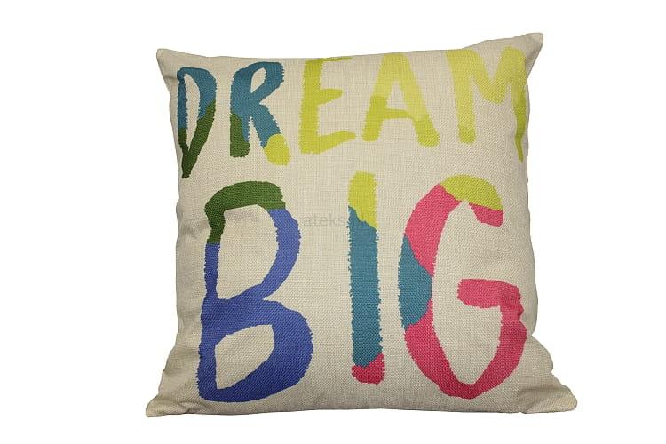 DREAM BIG.JPG